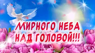 Красивое поздравление С Днем Победы🕊️С 9 мая!!! #с9мая #сднемпобеды #сднёмпобеды