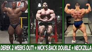 Derek Lunsford LOOKS CRAZY in Off Season! + Nick Walker IMPROVED his Back Double + Neckzilla Update!