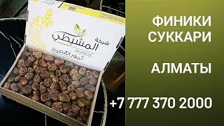 финики суккари алматы.