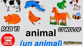 Animal names. ✍️ les nom des animaux.{ CI WOLOF } 🦁