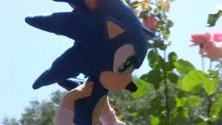 Sonic Plush Adventures-Survivee