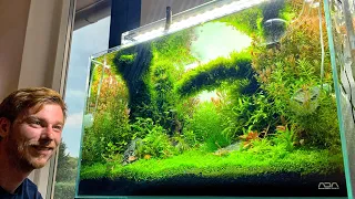 Beautiful Danish Aquascapes at Home - Full Aquarium Tour 🇩🇰💚