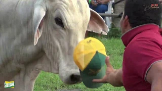 Cuarta Feria de Padrotes  Oriel Escobar y Bladimir Solís 30 Nov. 2019