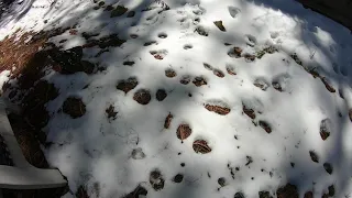 Relaxing time lapse of snow melting