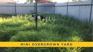 Messy Yard |  FREE SATISFYING OVERGROWN LAWN MOW #lawncare #messyyard #oddlysatisfying