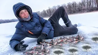 Как наловить МНОГО окуня! РЫБАЛКА ЗИМОЙ и ТАКТИКА ЛОВЛИ на ЛЬДУ