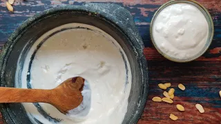 Peanut Curd Recipe in Shorts