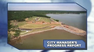 City Manager's Progress Report: June 2017