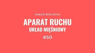 Aparat ruchu. Układ mięśniowy