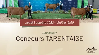 Sommet de l'élevage 2022 - Concours TARENTAISE - 06/10/2022