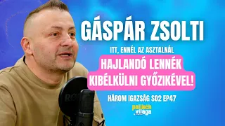 GÁSPÁR ZSOLTI: GYŐZIKÉVEL HAJLANDÓ LENNÉK KIBÉKÜLNI - ITT! / Három igazság / Palikék világa by Manna