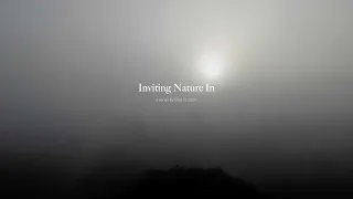 Inviting Nature In: Episode 2 - Intuition