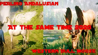 Western Bull Moose and Perlino Andalusian location - RDR2 (AT THE SAME TIME 2020) WORKS 100%