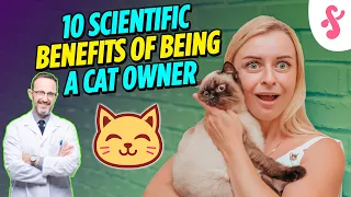 💊 Top 10 Scientific Benefits of Being a Cat Owner | Furry Feline Facts⚕️