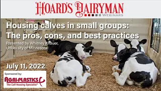 Housing calves in small groups: The pros, cons, and best practices