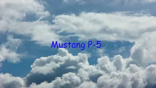 Mustang P 51 21 06 2021