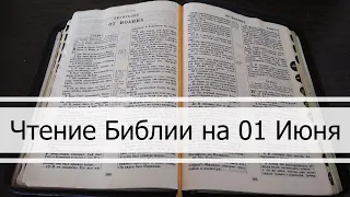 Чтение Библии на 01 Июня: Притчи Соломона 1, Евангелие от Иоанна 11, 1Книга Паралипоменон 13, 14, 15
