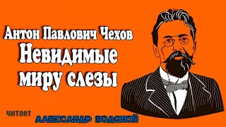 А. П. Чехов. Невидимые миру слёзы - чит. Александр Водяной