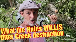 What the Hales WILLIS Otter Creek destruction