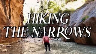 The Narrows in Zion National Park | Beginners Guide