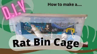How to make a Rat Bin Cage |DIY|