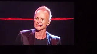 Sting - Shape of my hearts