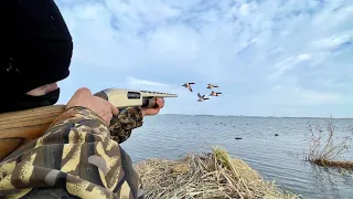 BIG WATER Diver DUCK HUNTING with a GOLD SHOTGUN!