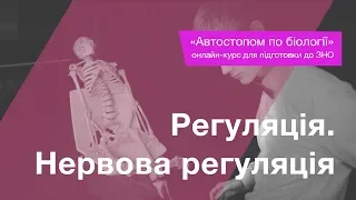 Регуляція. Нервова регуляція – Підготовка до ЗНО – Біологія