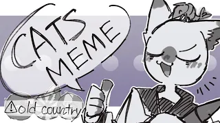 Cats | meme 〖countryhumans/Axis Powers〗