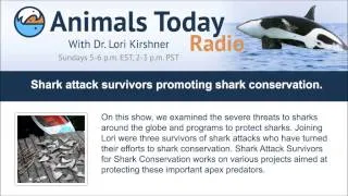 Shark attack survivors promoting shark conservation.