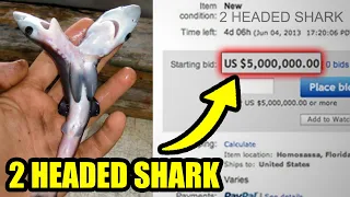 Top 10 Craziest Items Sold On eBay