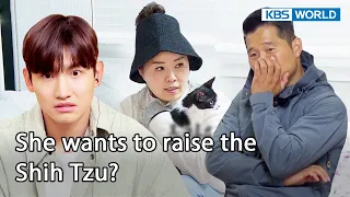 She'll have four pets...??? 😨 [Dogs are incredible EP150-3] | KBS WORLD TV 221206