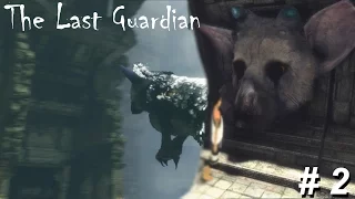 POWERFULLY CUTE! | The Last Guardian Part 2