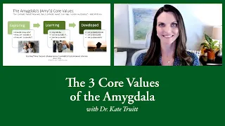 The 3 Core Values of the Amygdala with Dr. Kate Truitt