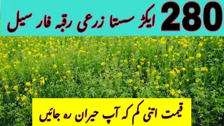 Agriculture Land || Sasti Zameen || Agri Land