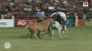 Campeonato Nacional de Jineteada del Festival de Jesús María: categoría Crina Limpia