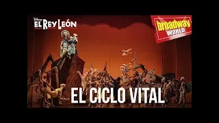 EL REY LEÓN - "El Ciclo Vital" (Madrid, 2019)