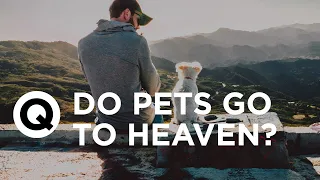 Do Pets Go To Heaven? | Question of the Day - Joyce Meyer