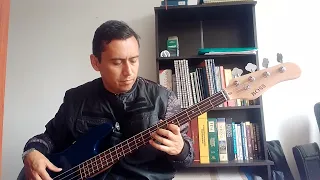 Chan chan ( cover bajo )