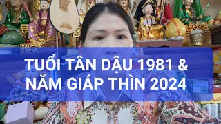 TUỔI TÂN DẬU 1981 & NĂM 2024 GIÁP THÌN