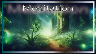 Melodies Guiding the Exploration Within：Tracks of the Meditative Journey