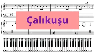 Çalıkuşu - How easy it is to play - Slow Рace - Songs for Beginners - Esin Engin