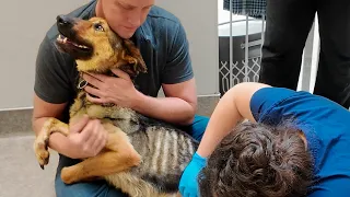 Watch her reaction when she’s told she’s a GOOD GIRL for the first time