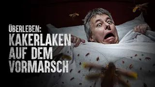 Wie überlebt man einen Kakerlakenbefall?