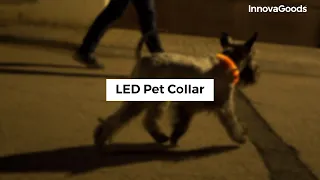 InnovaGoods LED Pet Collar