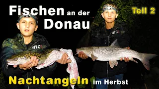 Fischen an der Donau - Nachtangeln auf Aalrutte / Quappe, Barben, Zingel + Krebse fangen | Teil 2