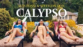 CALYPSO - LUIS FONSI, STEFFLON DON  (STEF WILLIAMS REGGAETON DANCE VIDEO)