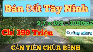 Bán GẤP Bán LỖ Đất 9,7 x 105 = 1000m2 Đường Nhựa Giá Chỉ 390tr Tại Tây Ninh