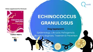 Echinococcus granulosus (Dog Tapeworm): Parasitology simplified tutorials: For NEET-PG, NEXT, USMLE