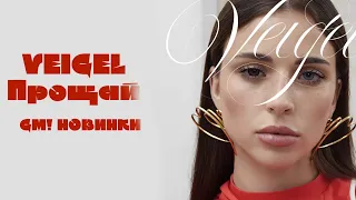 Новинка месяца: VEIGEL - Прощай | GM! Музыка